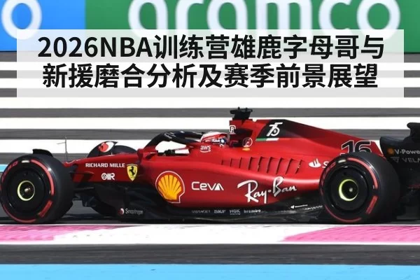 2026NBA训练营雄鹿字母哥与新援磨合分析及赛季前景展望